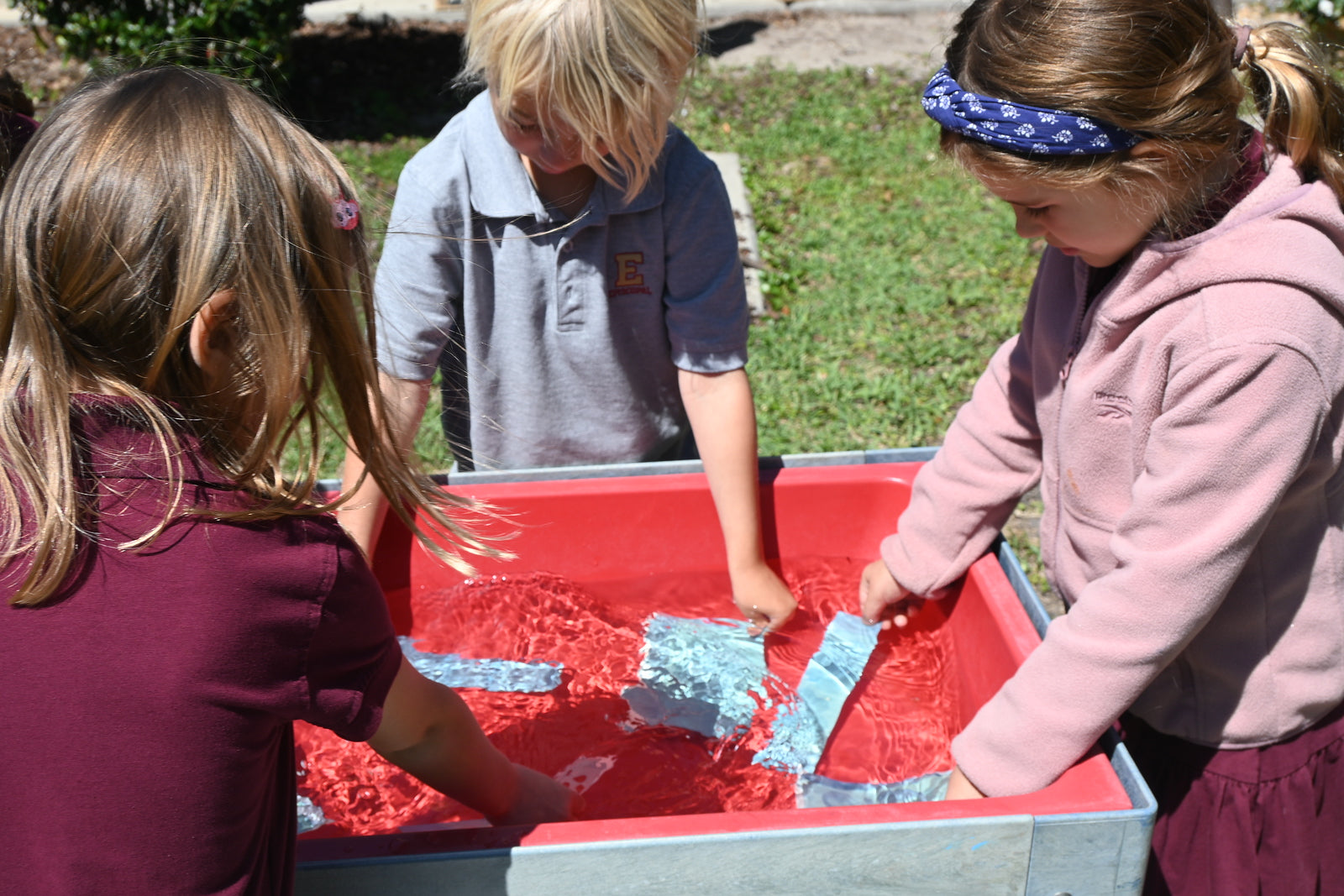 First Grade: "Florida and Fauna" by Kim Hurt